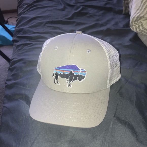 Patagonia Other - Patagonia Gray Baseball Cap Hat Adjustable NEW